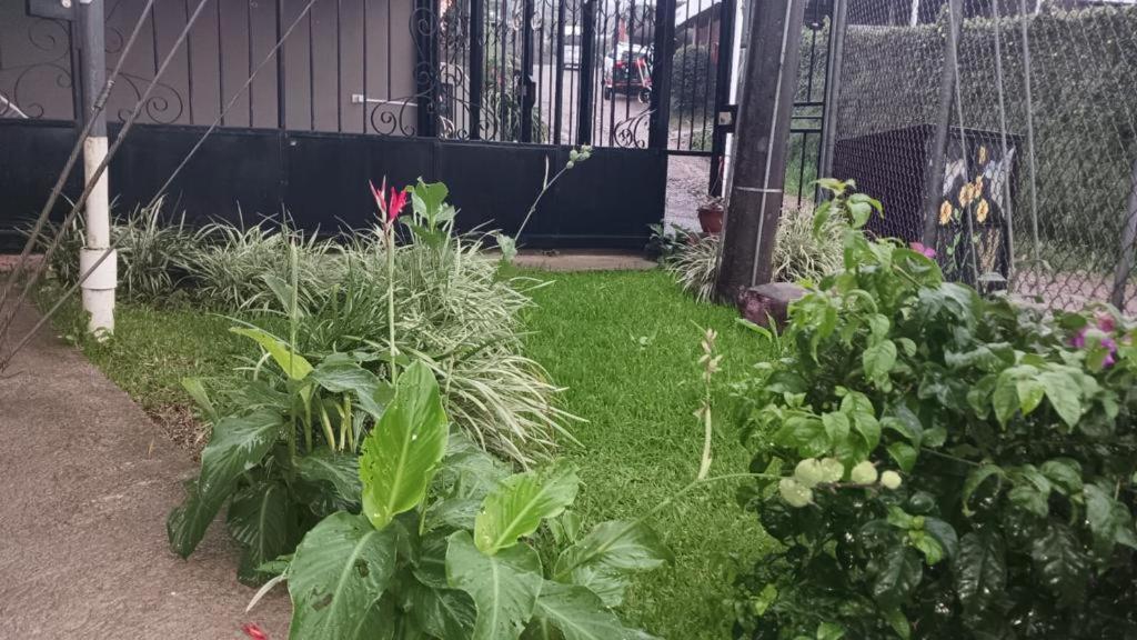 Monteverde Guesthouse Dış mekan fotoğraf